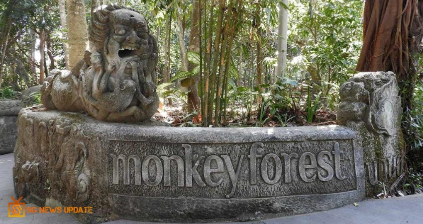 Uluwatu Temple In Bali, Monkeys Mean Business