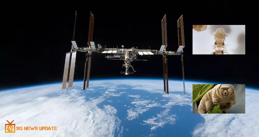 ISS To Receive Baby Squids And Water Bears For Research: NASA 
